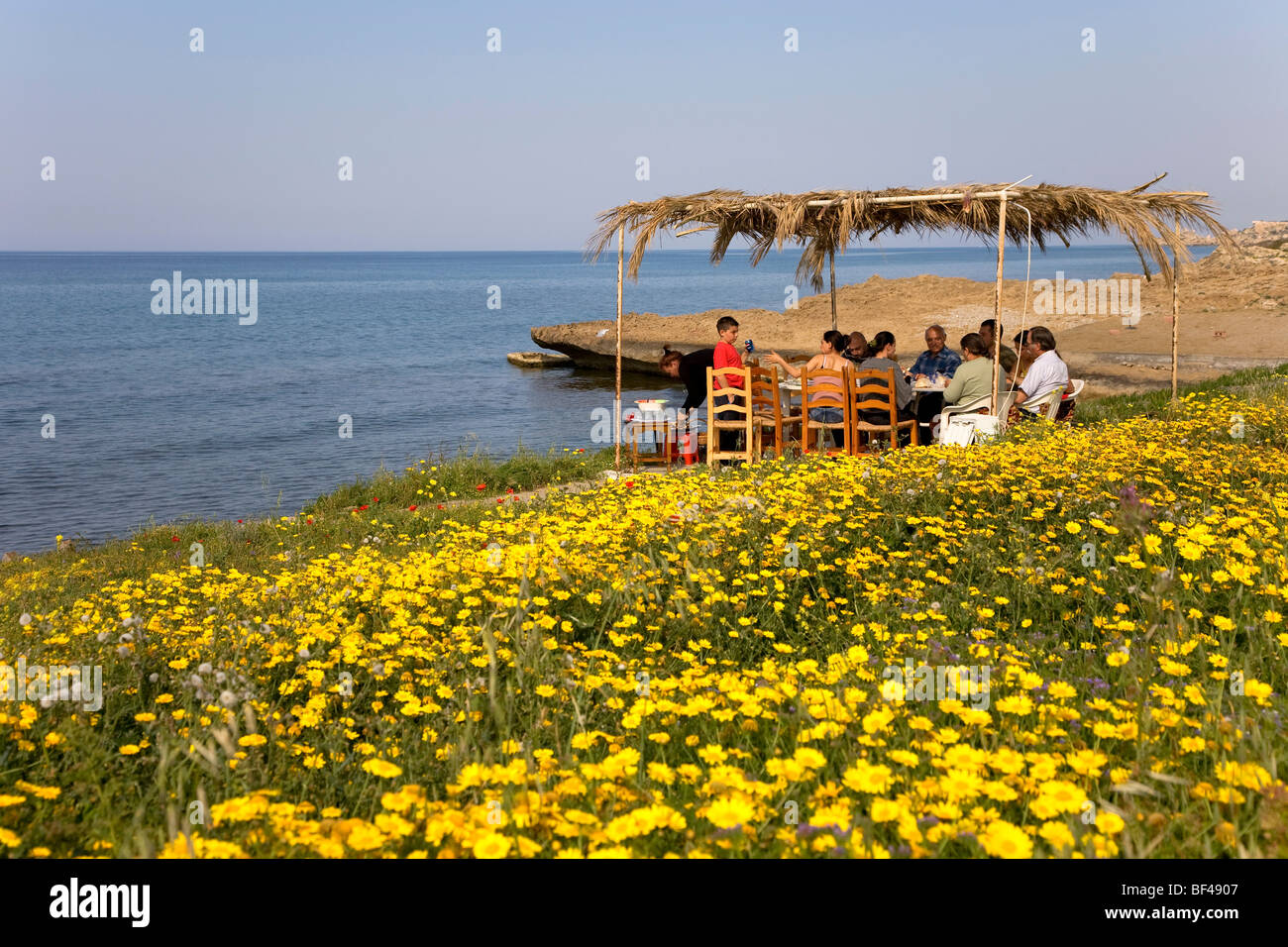 Picknick-Platz, Wiese mit Gänseblümchen am Strand in Girne, Keryneia, Zypern, Griechenland, Europa Stockfoto