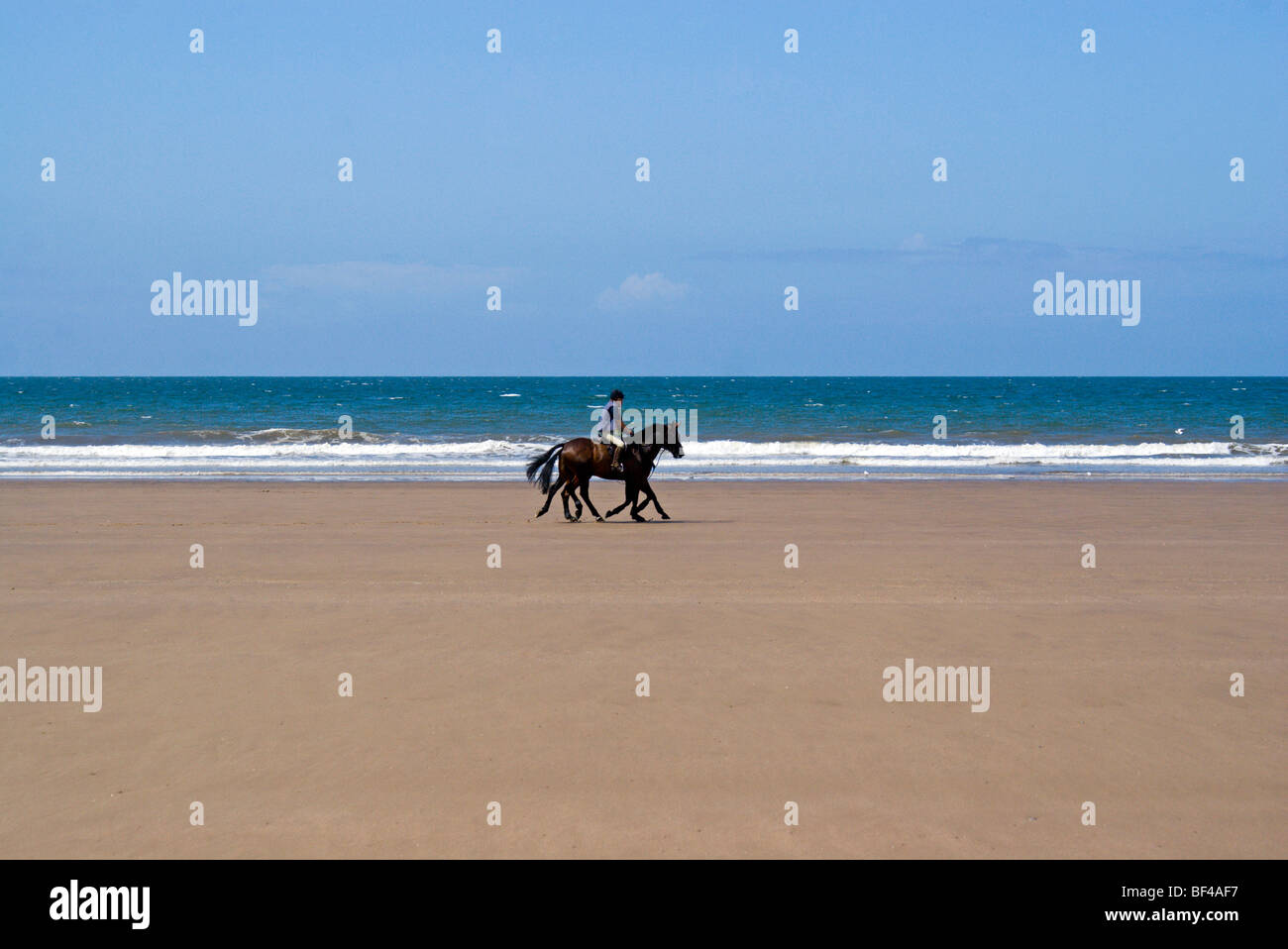 Zwei Pferde und Reiter am Qualitätsorientierung Sandstrand in der Nähe von Porthcawl, South Wales, UK. Stockfoto