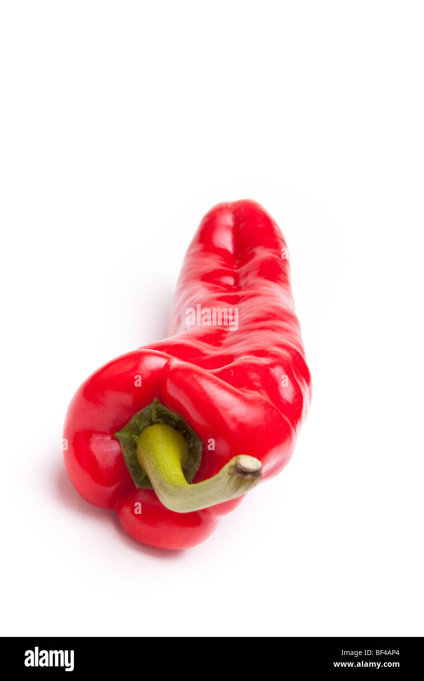 Einzelne große rote Paprika auf weißen Hintergrund isoliert. Stockfoto