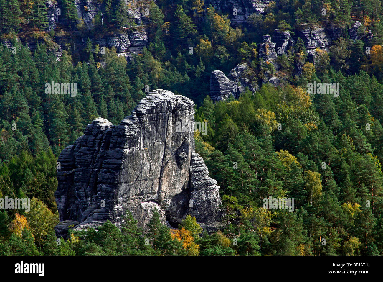 Felsformation in der Bastei, Elbsandsteingebirge in Herbst, Nationalpark Sächsische Schweiz, Sachsen, Deutschland, Europa Stockfoto