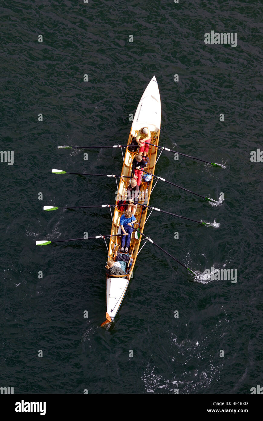 Wassersport, Vierbettzimmer Sculls mit Steuermann, junge ruderer in Aktion Stockfoto