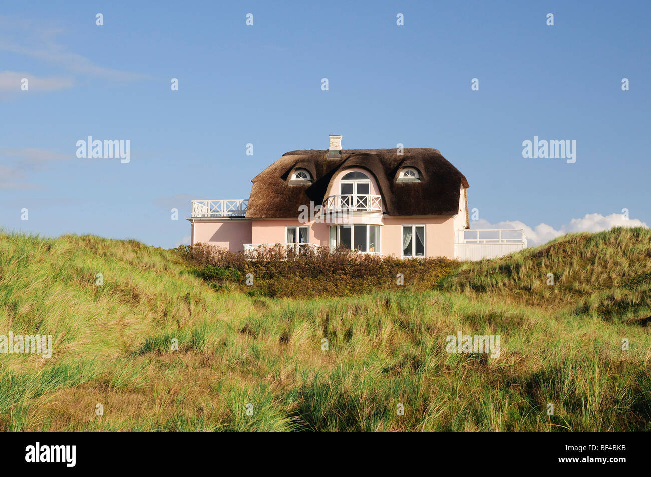Klassische, reetgedeckten Haus in Vejer Strand, Jütland, Dänemark, Europa Stockfoto