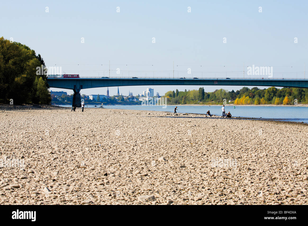 Niedrigwasser am Rhein, Konrad-Adenauer-Brücke zu überbrücken, Bonn, Nordrhein-Westfalen, Deutschland, Europa Stockfoto