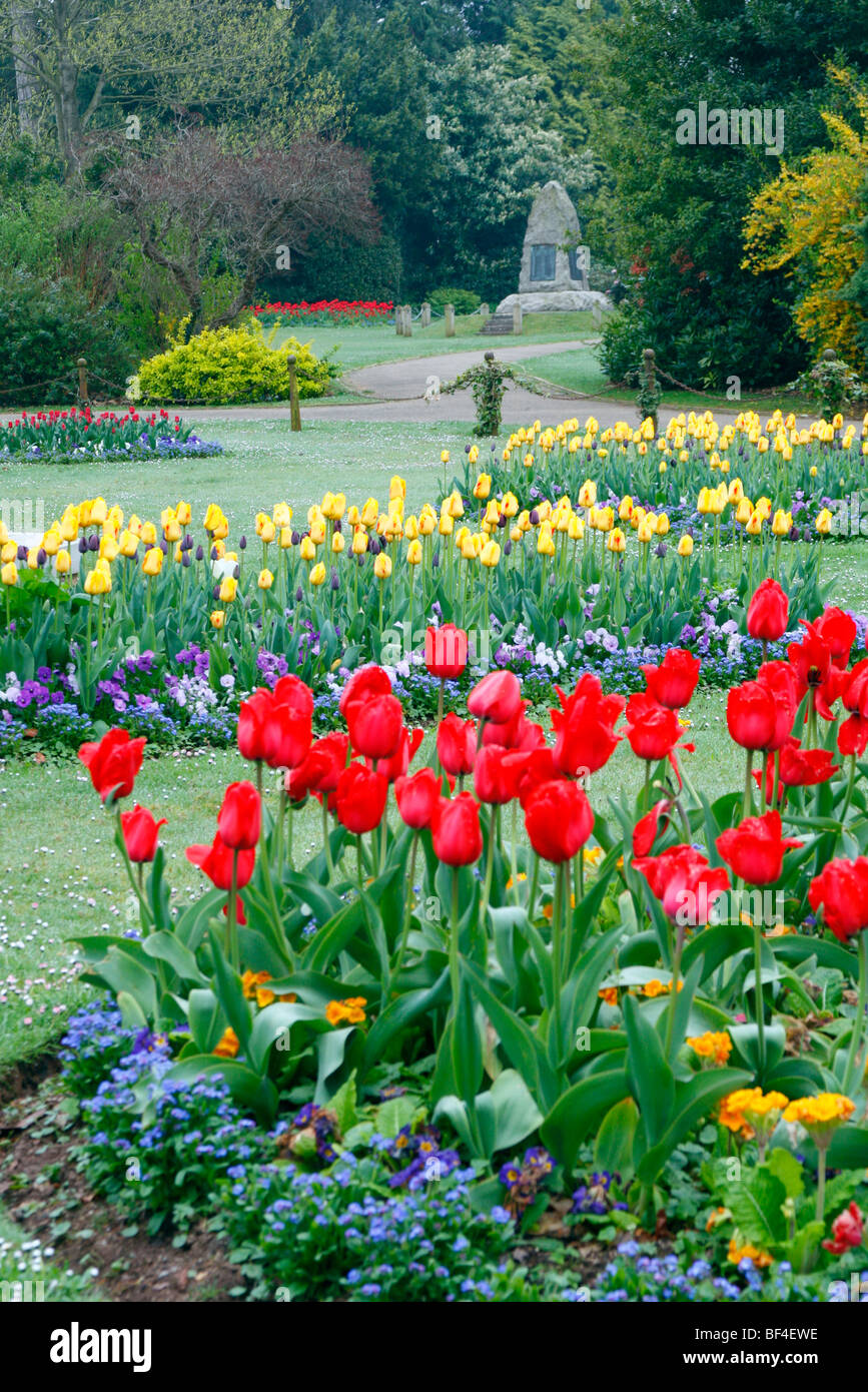 Traditionellen Spring Bettwäsche mit Tulipa, Myosotis und Mauerblümchen in Wellington Park, Somerset Stockfoto