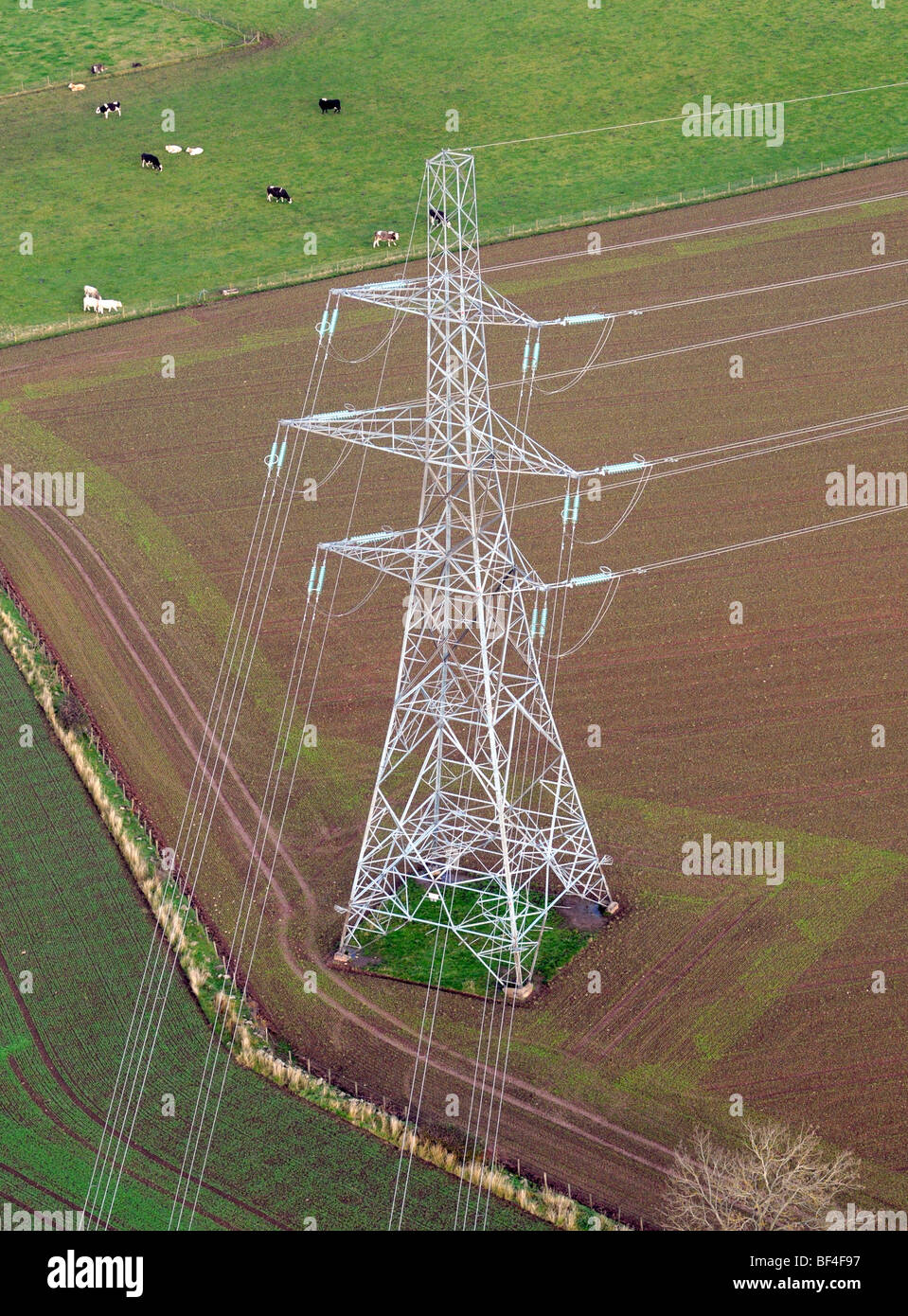 Luftaufnahme des Strommastes in Perth und Kinross Schottland. Stockfoto