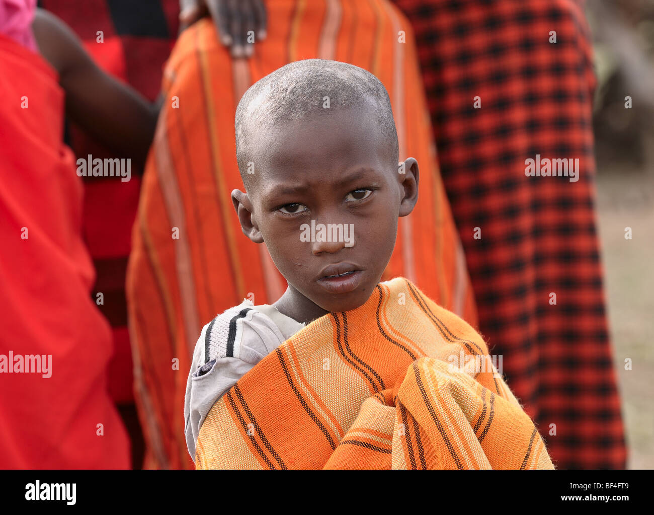 Ein kleiner Junge wacht der Masai-Krieger ihren traditionellen Tanz aufführen. Stockfoto