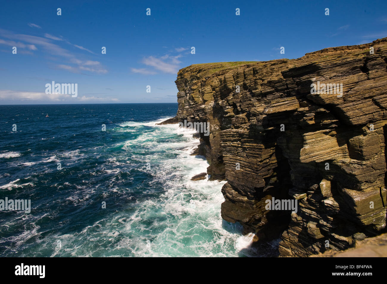 Klippen, Orkney Inseln, Schottland, Vereinigtes Königreich, Europa Stockfoto