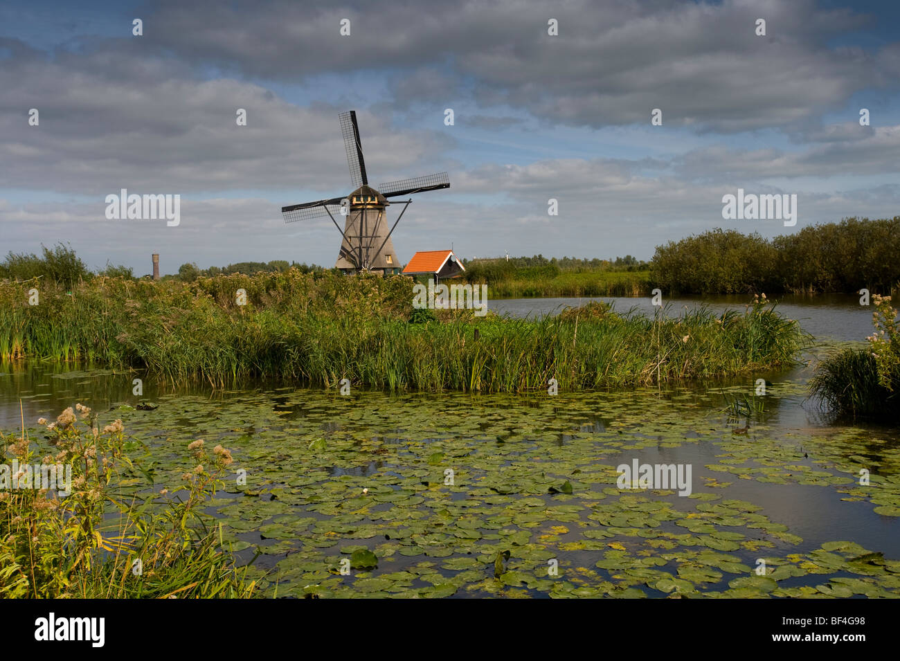 Kinderdijk, Polder Mühle, Südholland, Holland, Niederlande, Europa Stockfoto