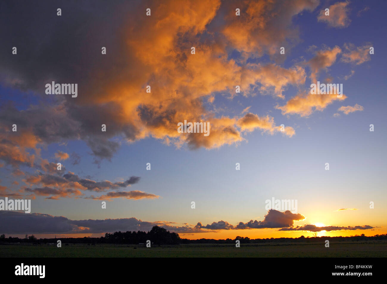 Dramatischer Himmel mit Wolken bei Sonnenuntergang, Landschaft in Oberalsterniederung Natur Rese von unten durch die späte Abendsonne beleuchtet Stockfoto