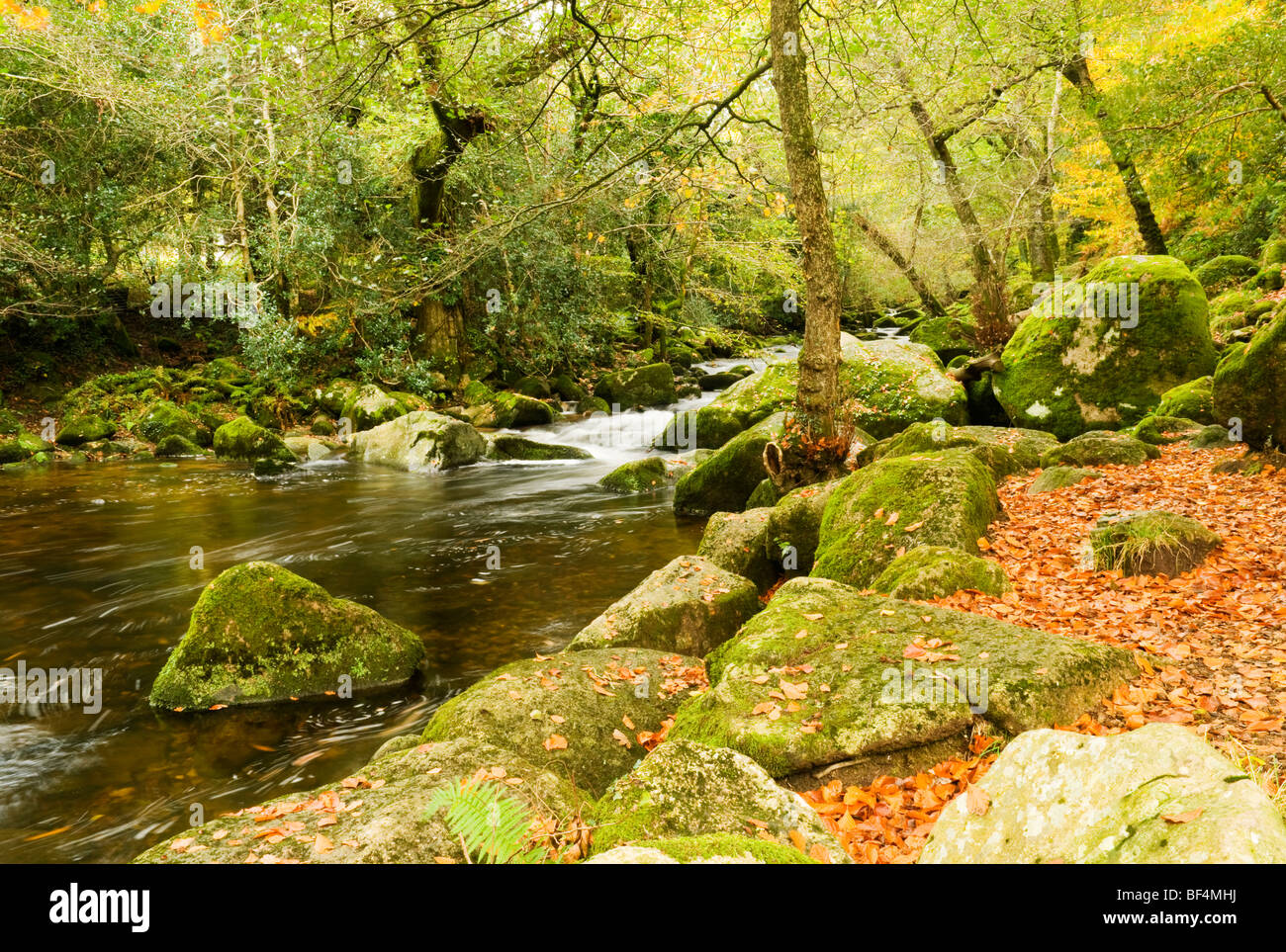 Herbst-Szene auf dem Fluß Meavy in der Nähe von Shaugh Brücke, Dartmoor, Devon UK Stockfoto