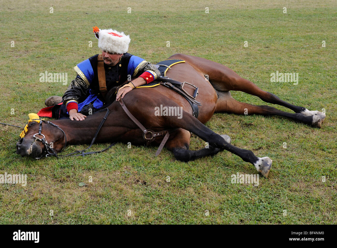 Ein Teilnehmer ist Kunststücke mit seinem Pferd tot auf Befehl abgespielt wird, öffnen Sie Eocha Europameisterschaft 09, montieren Stockfoto