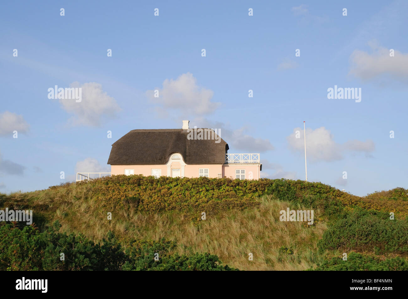 Klassische, reetgedeckten Haus in Vejer Strand, Jütland, Dänemark, Europa Stockfoto