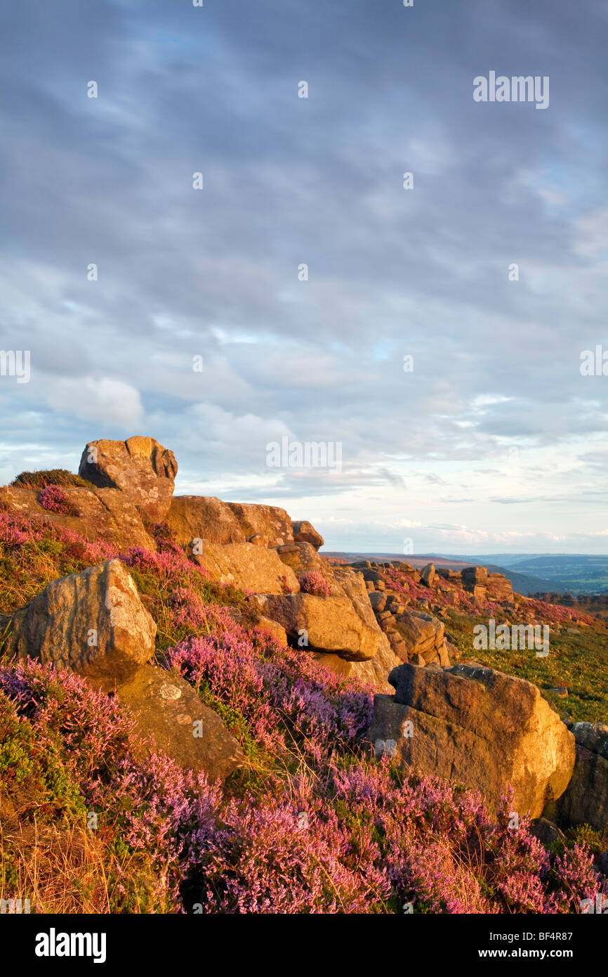 Carhead Felsen von warmen Licht im Peak District National Park, Derbyshire beleuchtet. Stockfoto