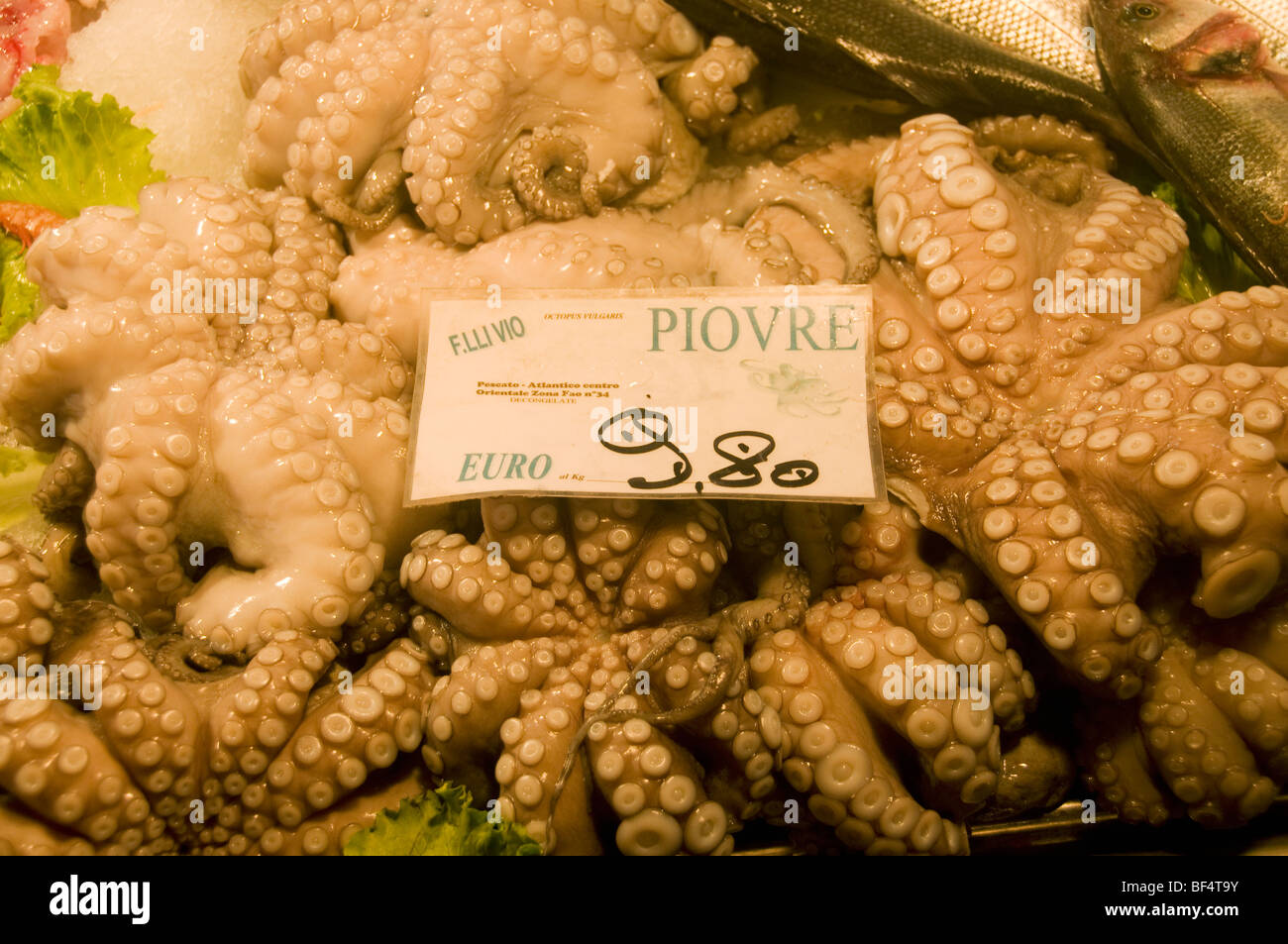 Krake (Piovre) für Verkauf, Markt von Rialto, Venedig, Italien Stockfoto