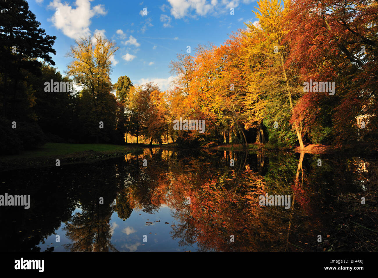 Schönen Herbstfarben in den Niederlanden graveland Stockfoto