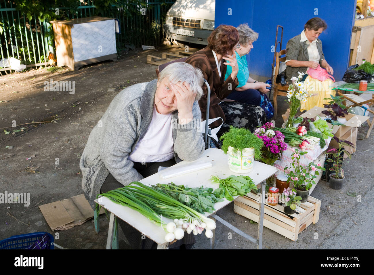 Marktes stand Halter ural Maische Jekaterinburg Stockfoto