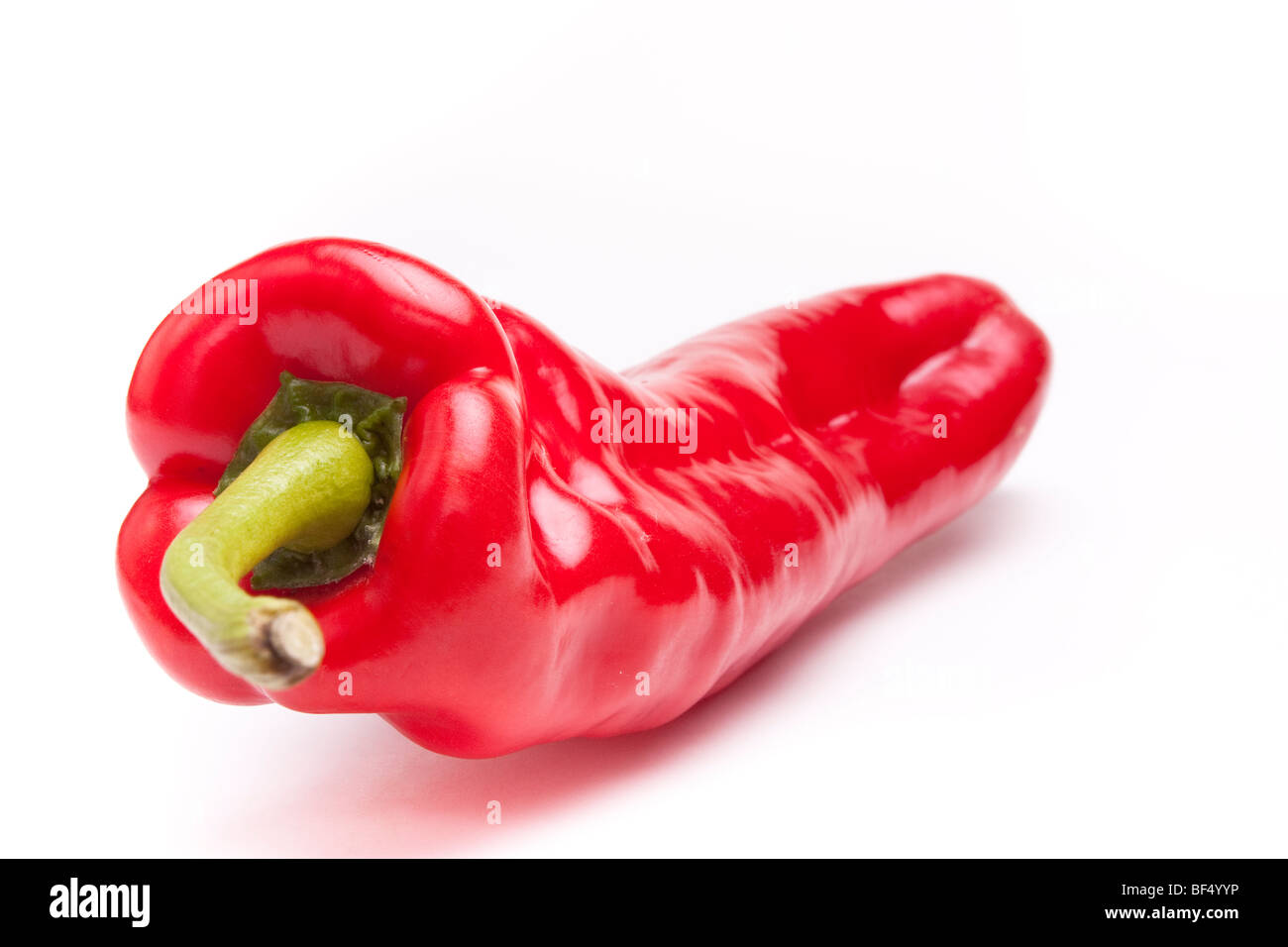 Einzelne große rote Paprika auf weißen Hintergrund isoliert. Stockfoto