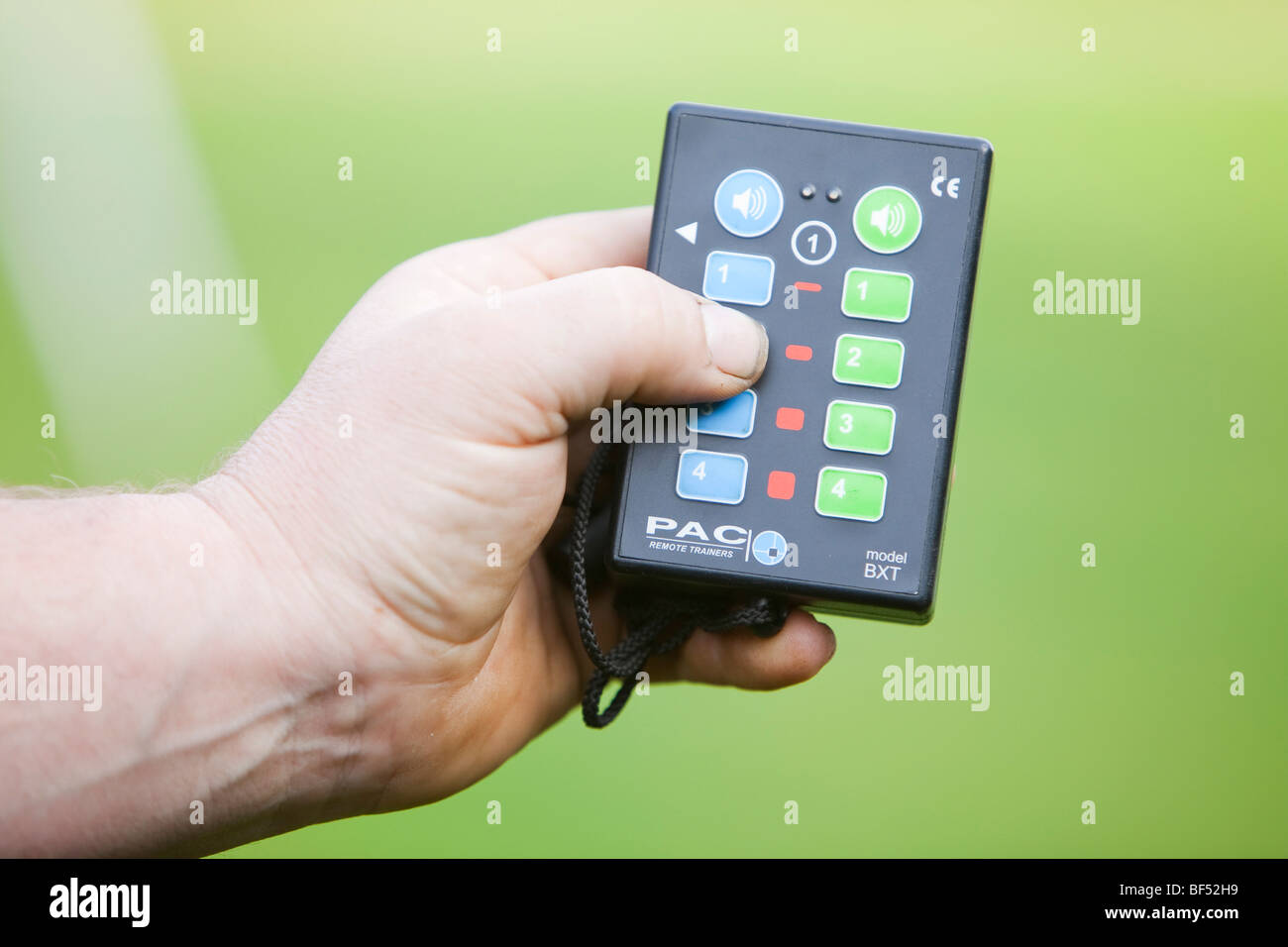 Eine elektrische Hund Training Fernbedienung handgesetzten Stockfoto