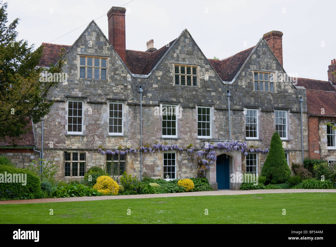 Blauregen wächst an einem Gebäude in Winchester Stockfoto