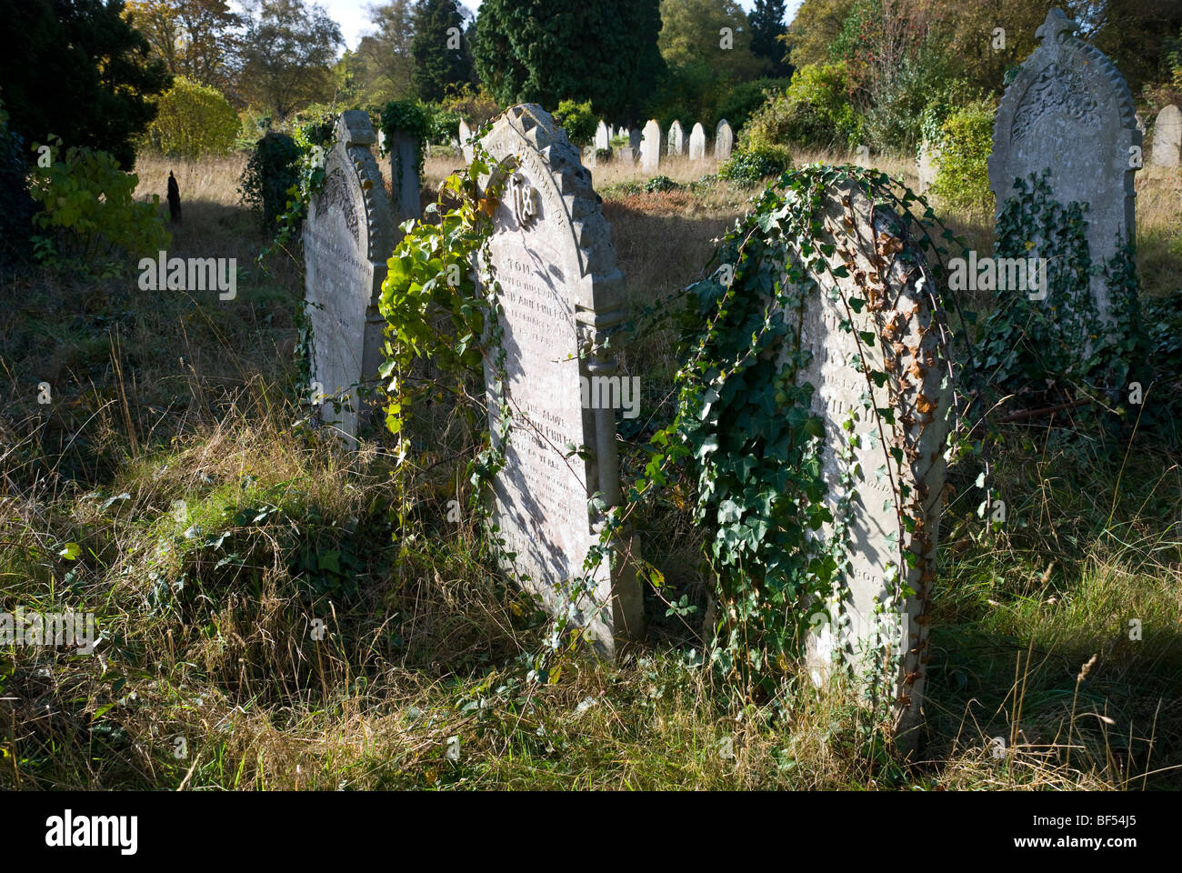 Grab Steinen Southampton gemeinsamen Friedhof Stockfoto