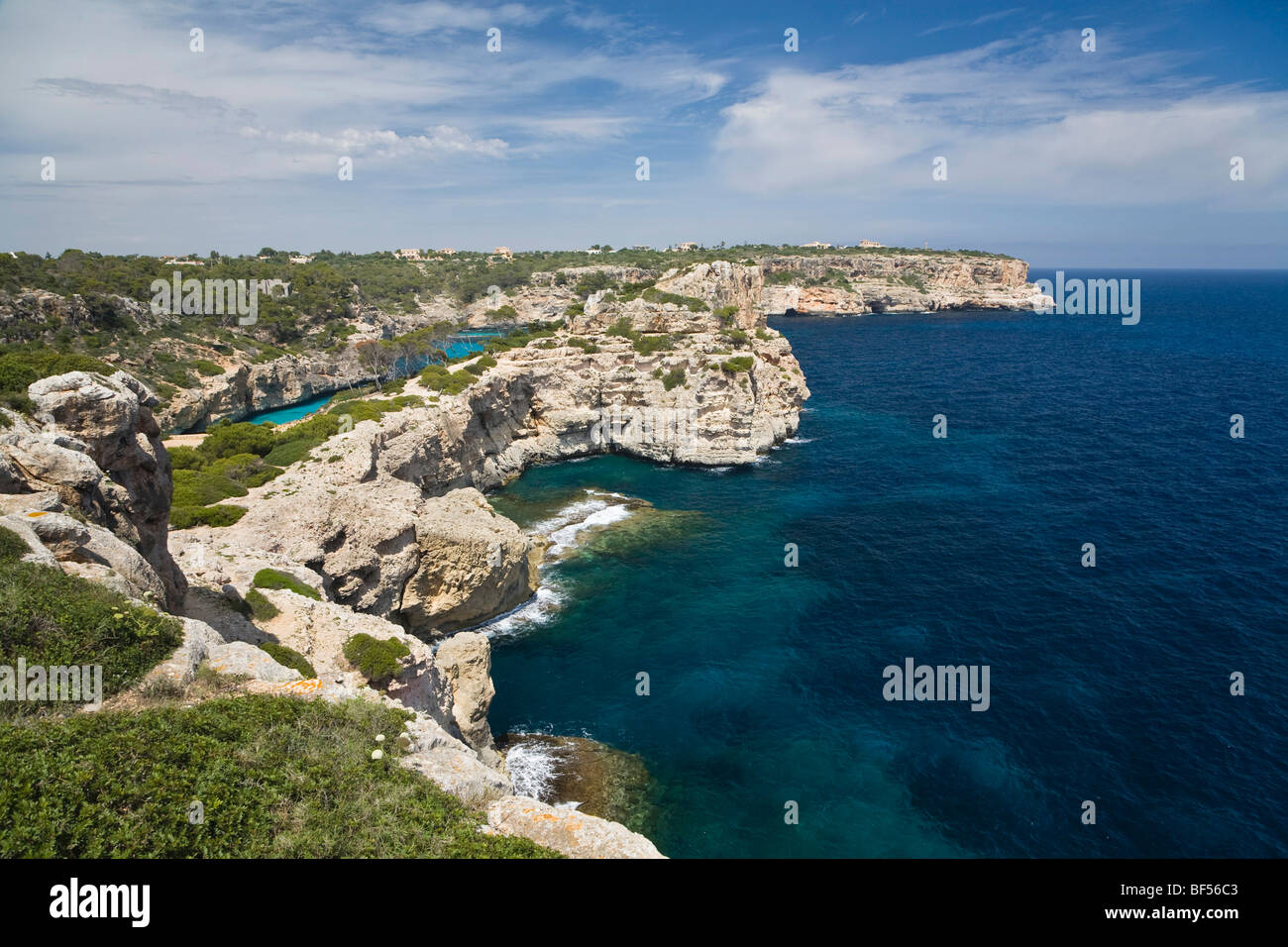 Klippen in der Nähe von Cala s'Almonia Bay, Mallorca, Mallorca, Balearen, Mittelmeer, Spanien, Europa Stockfoto