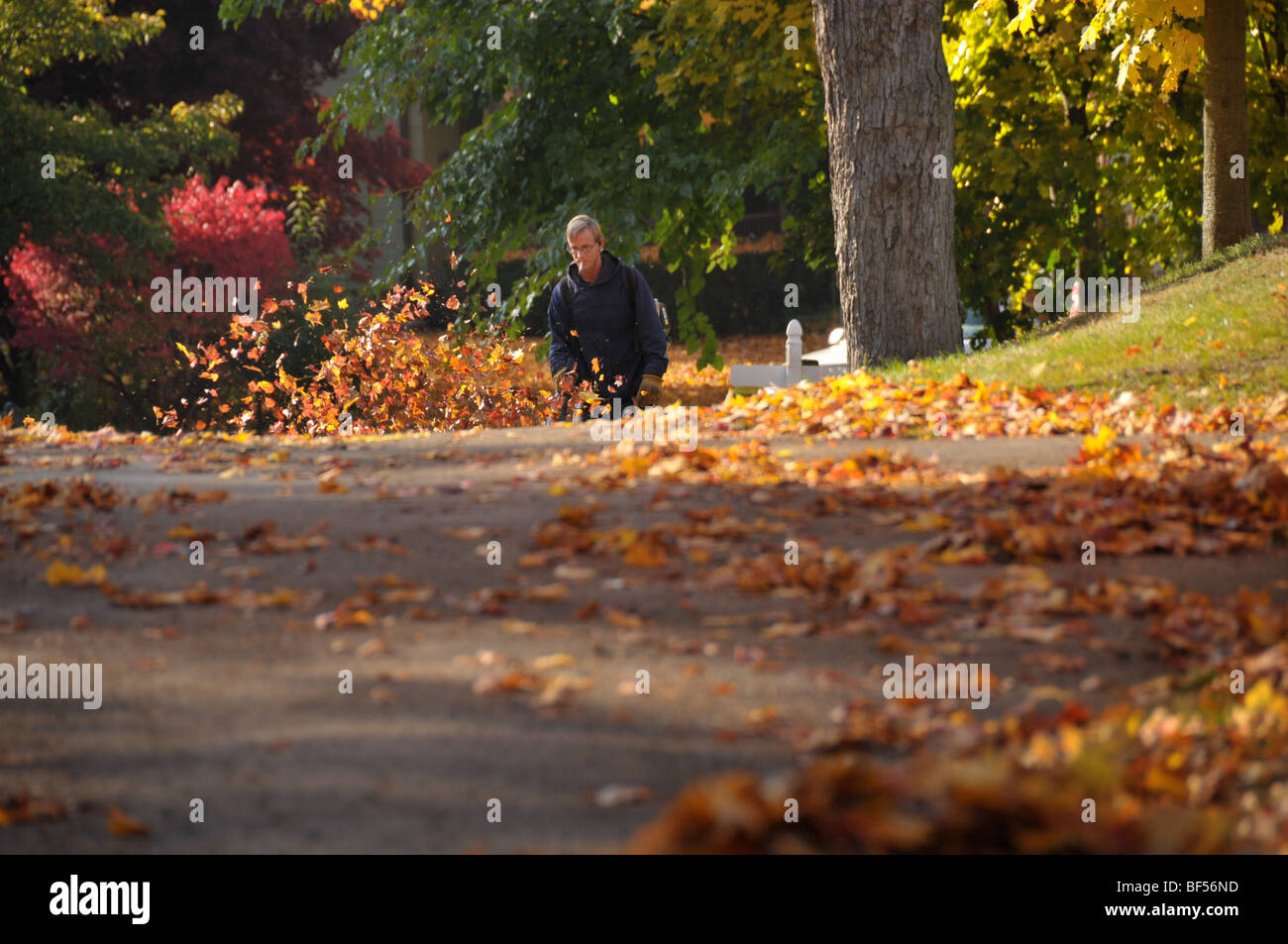 Platzwart mit Gebläse Herbst sammeln Blätter. Stockfoto
