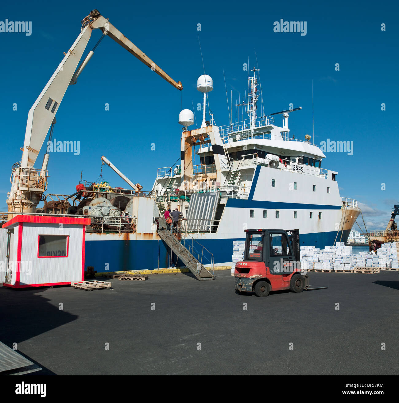 Entladung Frischfisch, Hafnarfjordur Hafen, Island Stockfoto