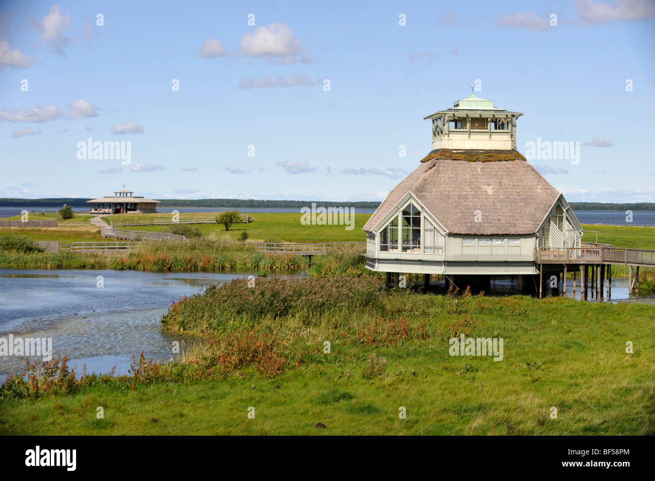 Vogelwarte, Naturschutzgebiet Skara, Schweden, Europa Stockfoto