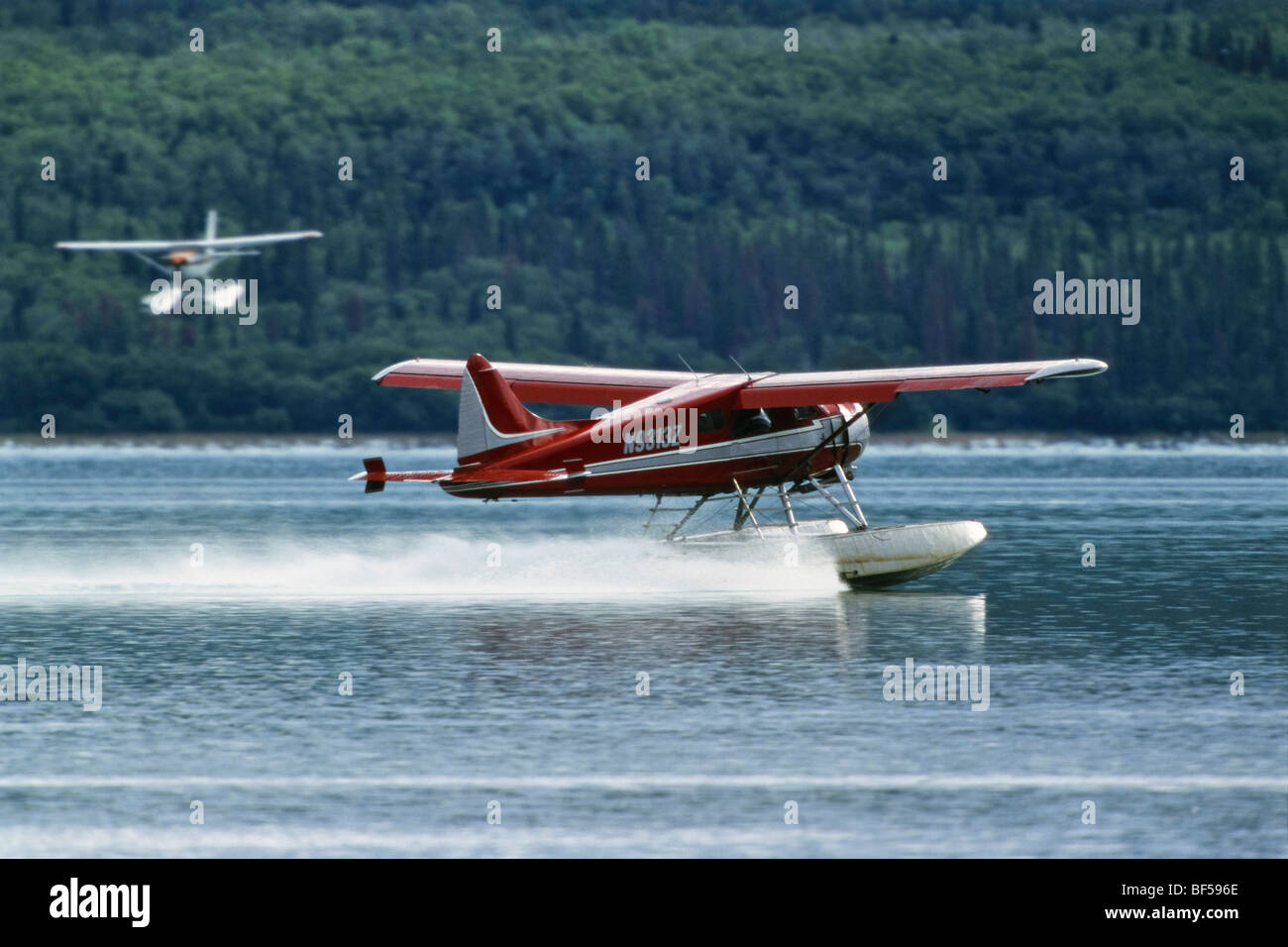 Wasserflugzeuge, Katmai Nationalpark, Alaska, USA Stockfoto