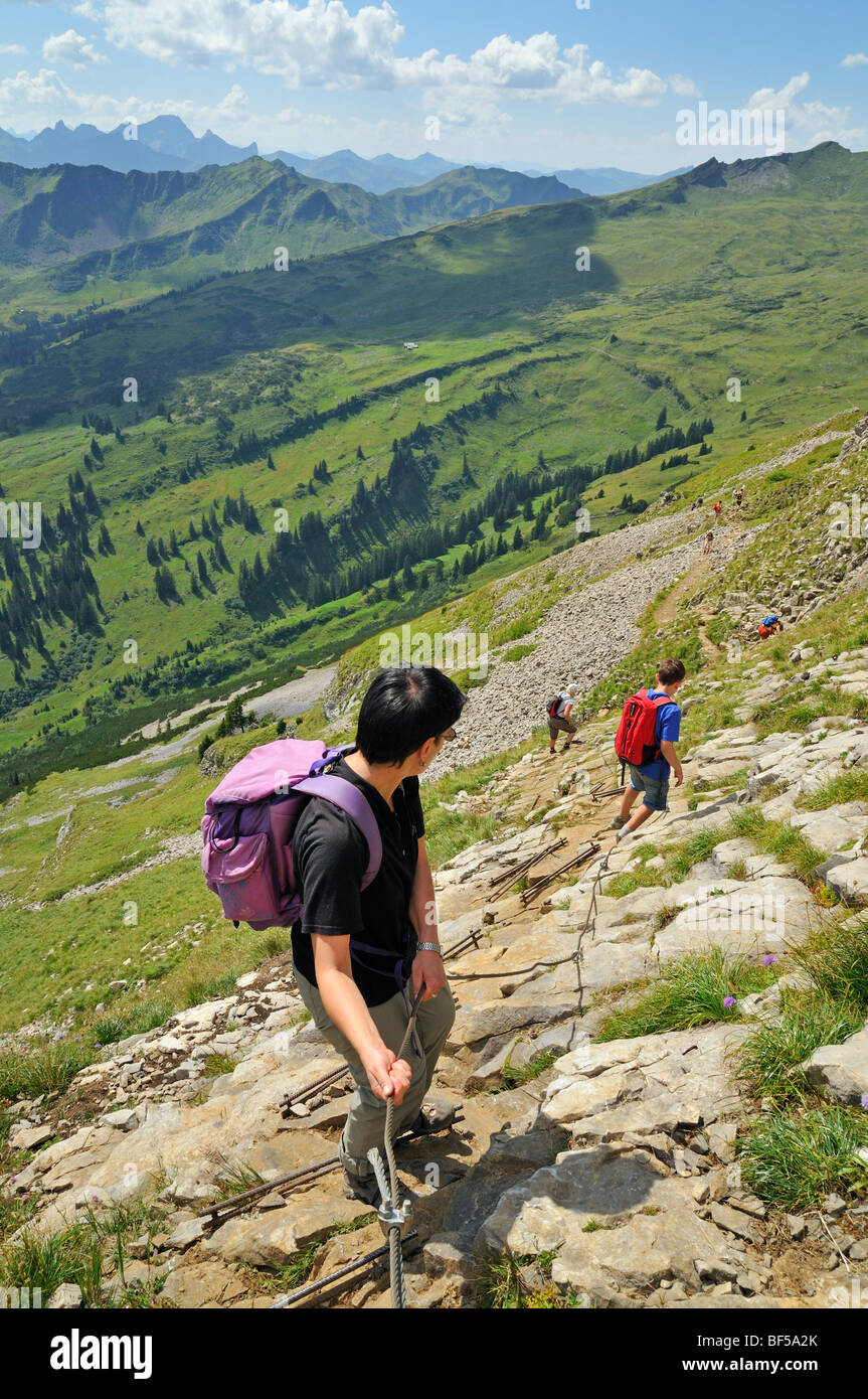 Trail durch Seile und Streben nach unten vom hohen Ifen Berg, Vorarlberg, Allgäu-Alpen, Österreich, Europa Stockfoto