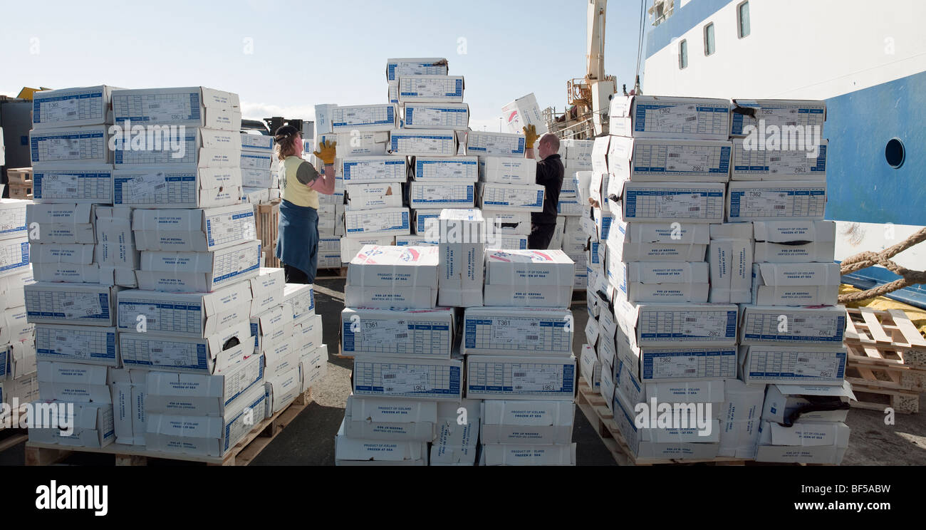 Entladung Frischfisch, gefroren auf dem Meer, Hafnarfjordur Hafen, Island Stockfoto