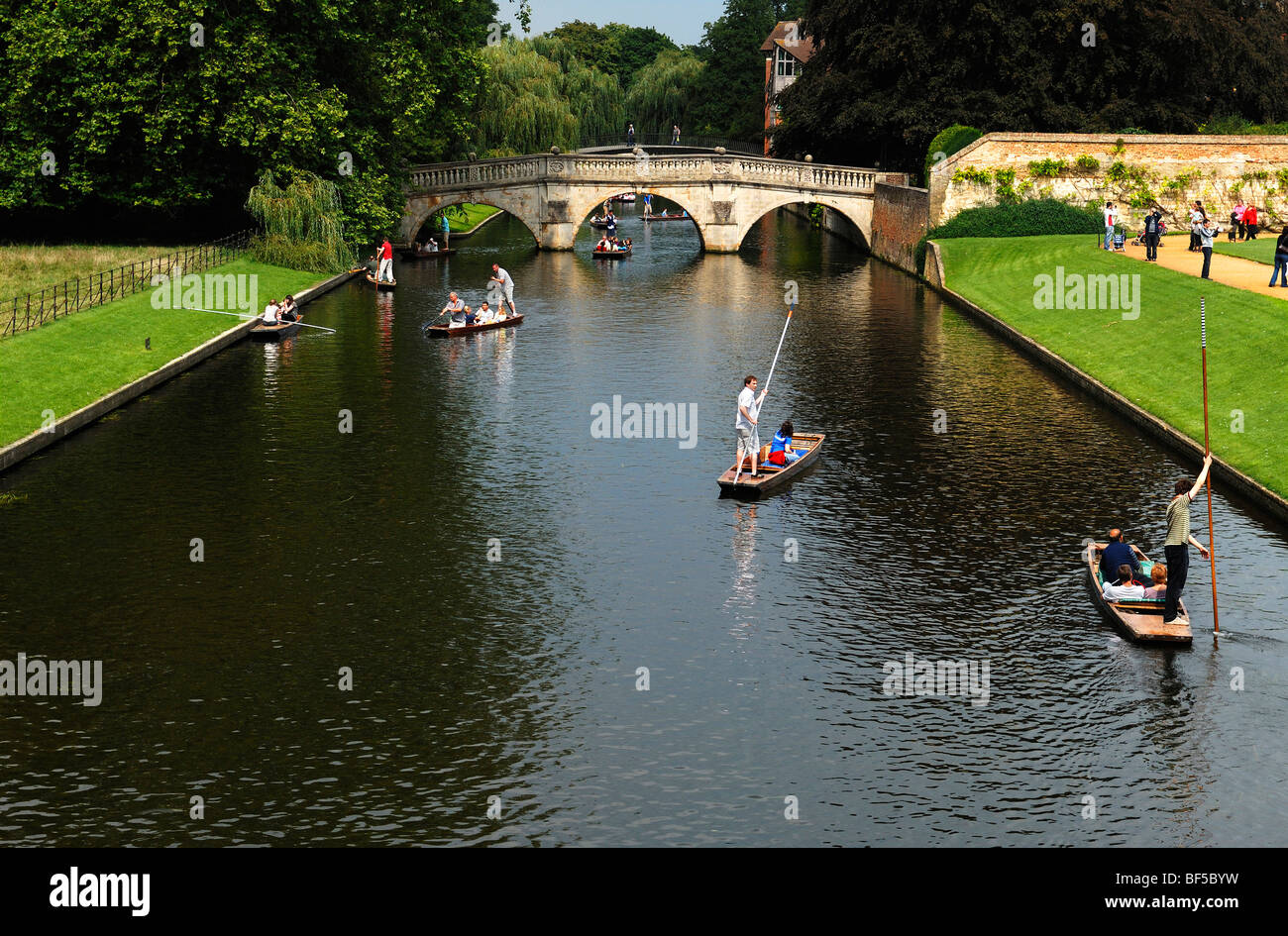 Kreuzfahrt am Fluss Cam, namens Punting, mit Brücke und Park des Kings College des Königs-Parade, Cambridge, Cambridgeshire, Engl Stockfoto