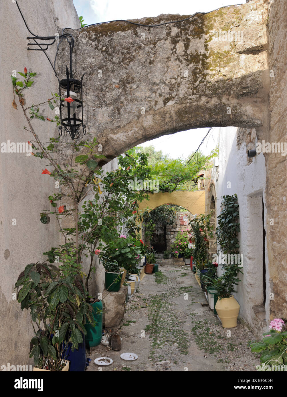 Hof, Rhodos Stadt, Rhodos, Griechenland, Europa Stockfoto