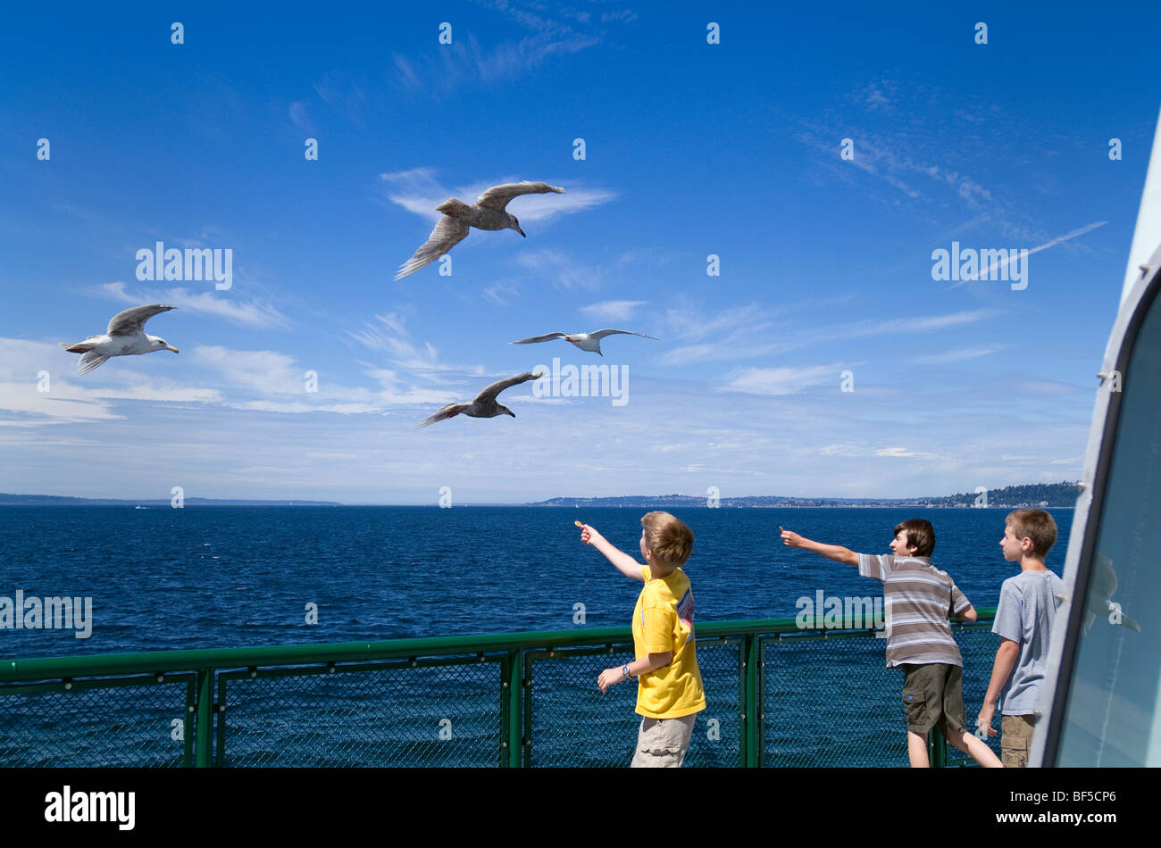 Fähre Passagiere Möwen füttern. Stockfoto