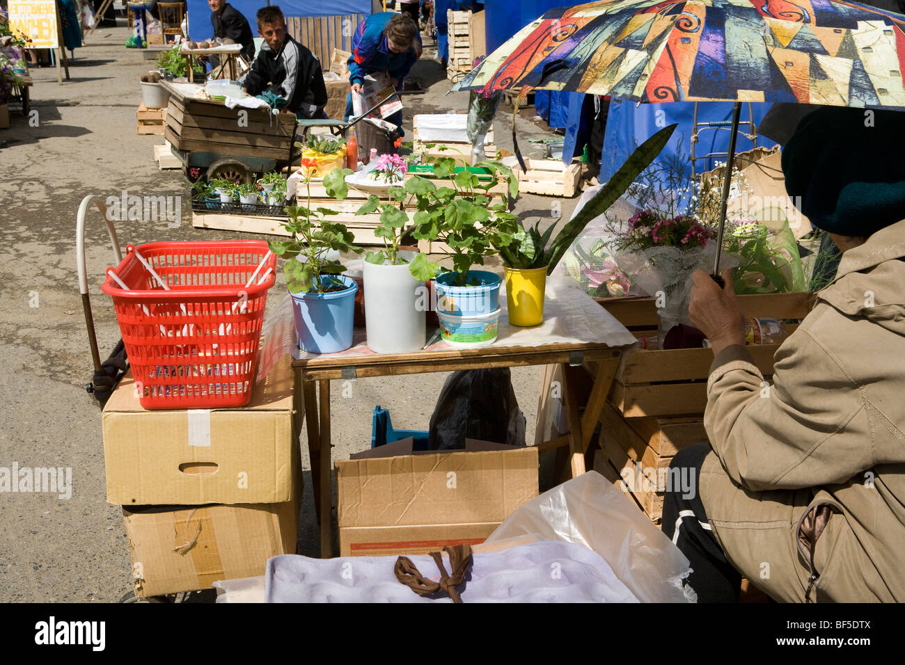 Marktstand Verkauf von Pflanzen an Street Market, Jekaterinburg, Russland Stockfoto