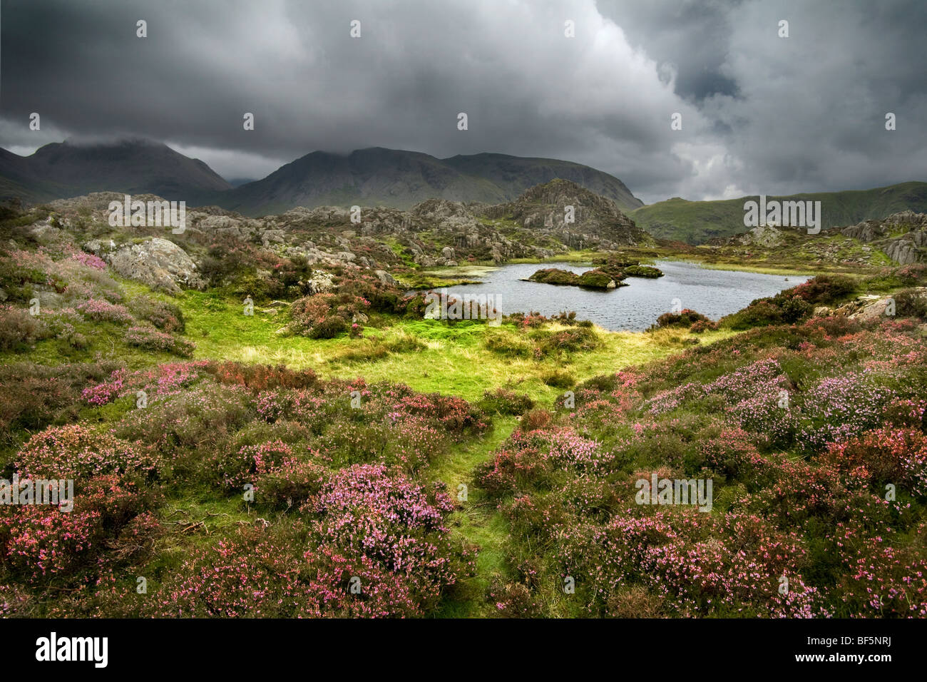 Kleinen Teich auf Gipfel des Heuhaufen, Lake District, Cumbria, UK Stockfoto