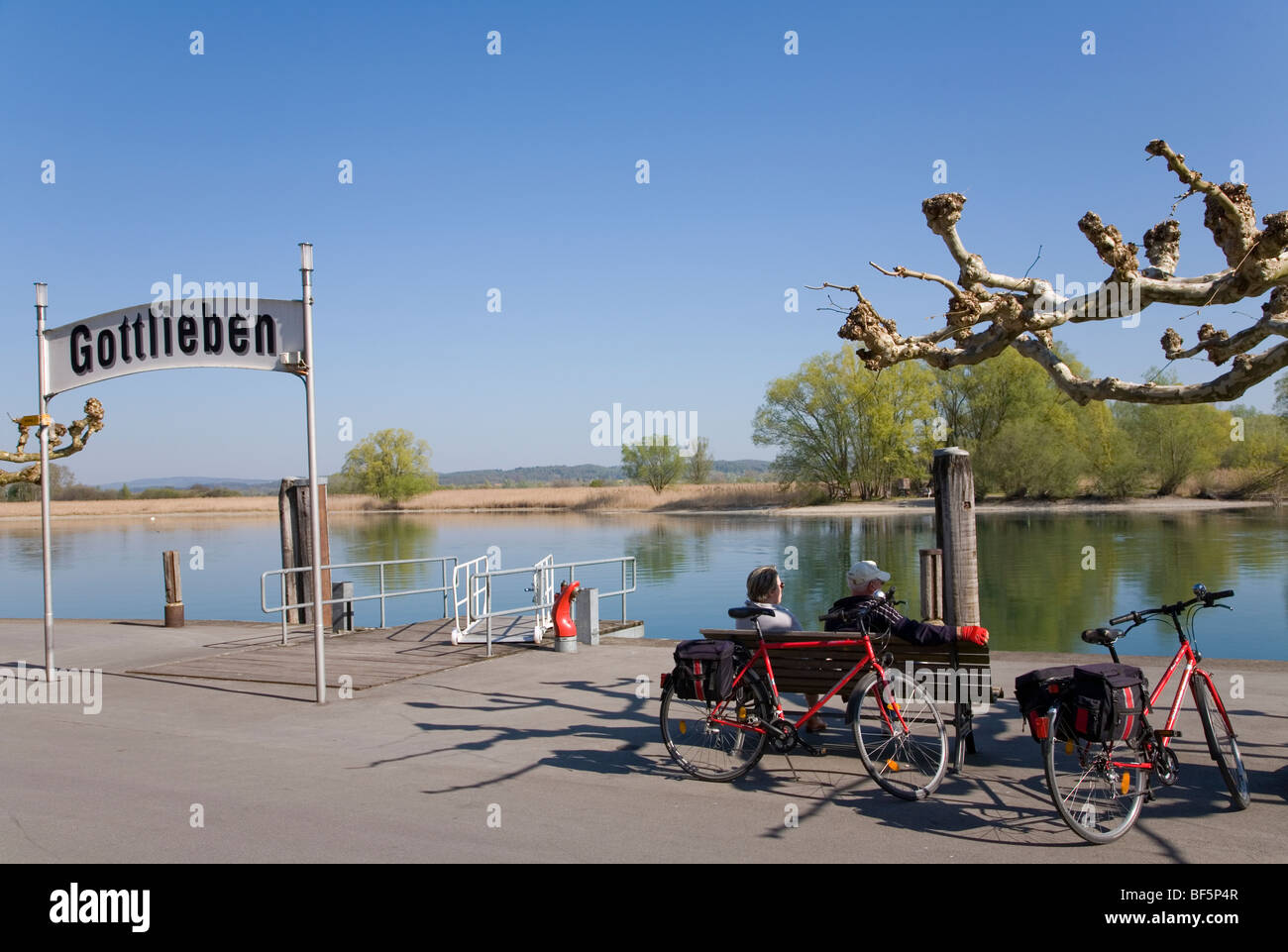 Radfahrer, Blick auf den Seerhein, Wollmatinger Ried, Gottlieben in der Nähe von Kreuzlingen, Kanton Thurgau, Bodensee, Schweiz Stockfoto