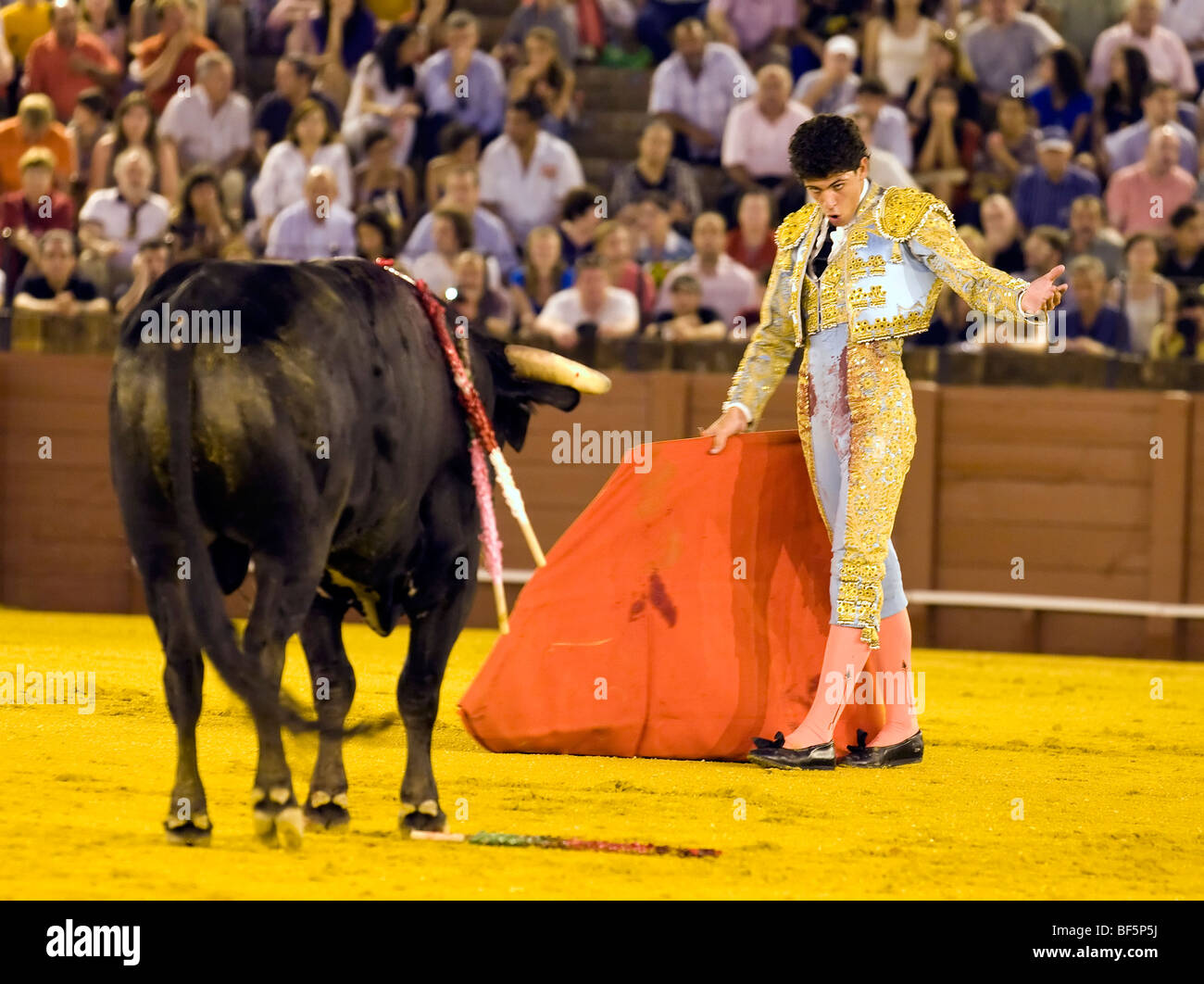 Toreador vor dem Stier während Corrida Stierkampf in Sevilla Spanien Stockfoto