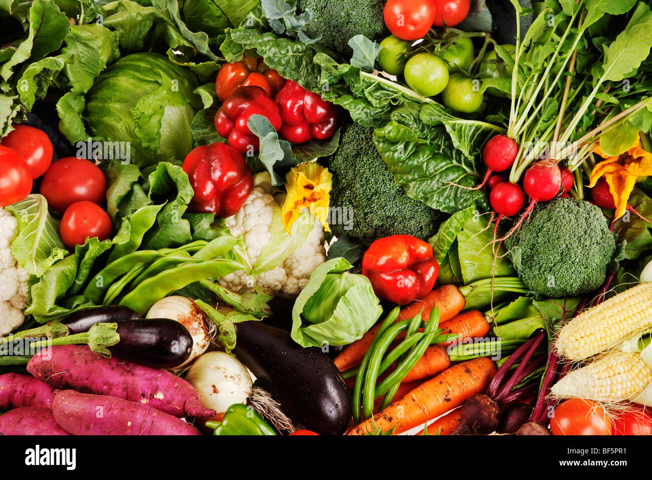 Reihe von frischem Bio-Gemüse aus dem Garten geerntet Stockfoto