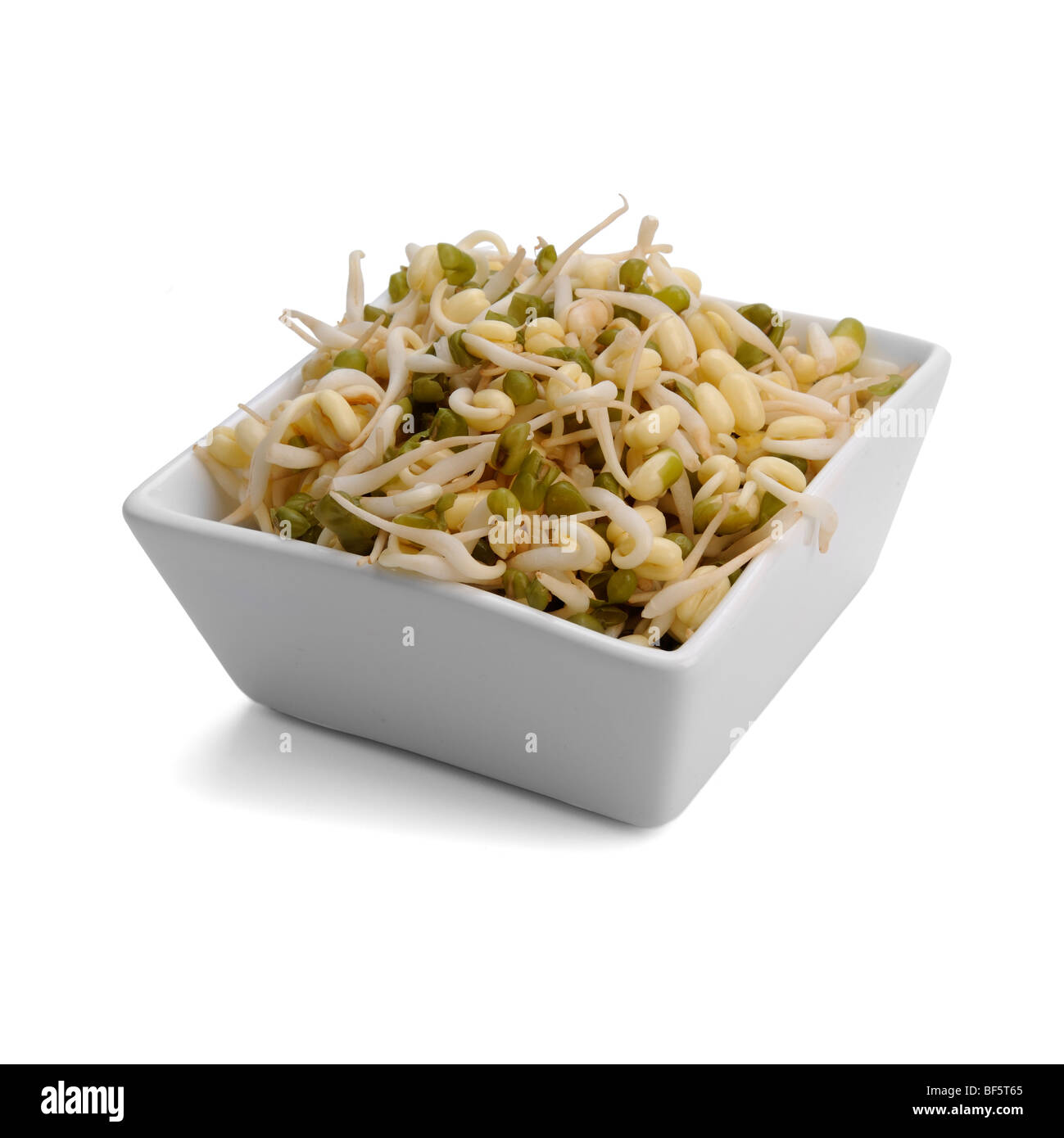 Sojasprossen in Schale Stockfoto