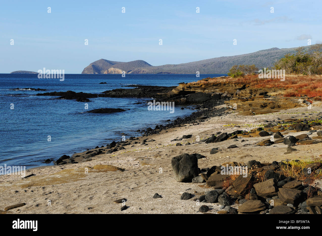 Puerto Egas Bucht, Insel Santiago, Galapagos-Inseln, Ecuador, Südamerika Stockfoto