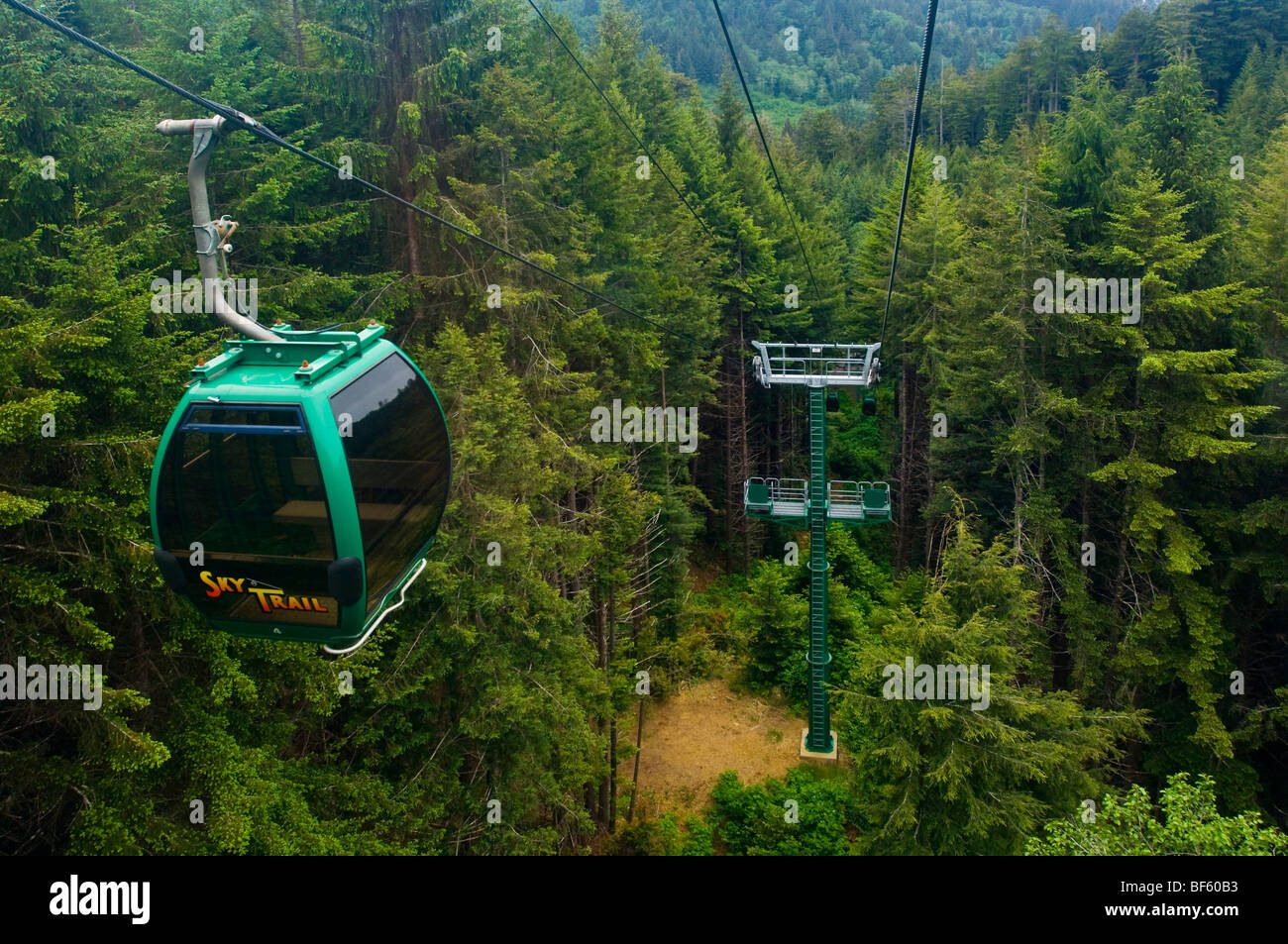 Die Sky Trail Gondelfahrt durch Redwood Forest, Bäume of Mystery, Del Norte County, Kalifornien Stockfoto