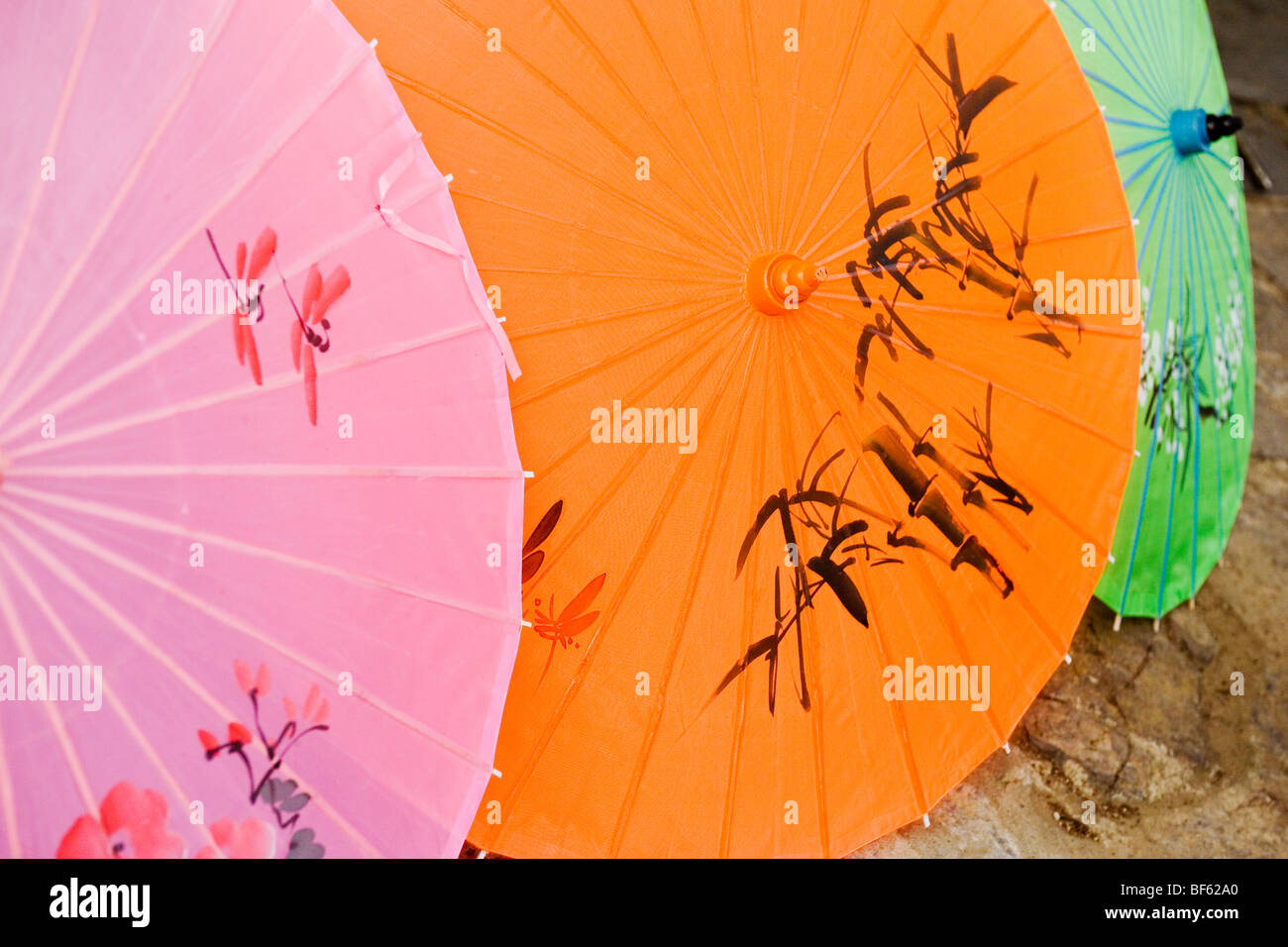 Hand bedruckt Papier Regenschirm, East Lake Park, Stadt Wuhan, Hubei, China Stockfoto