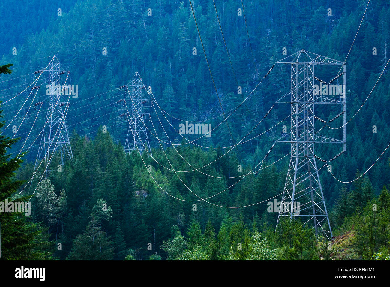 Hochspannung Stromleitungen in den North Cascades Washington, USA. Stockfoto