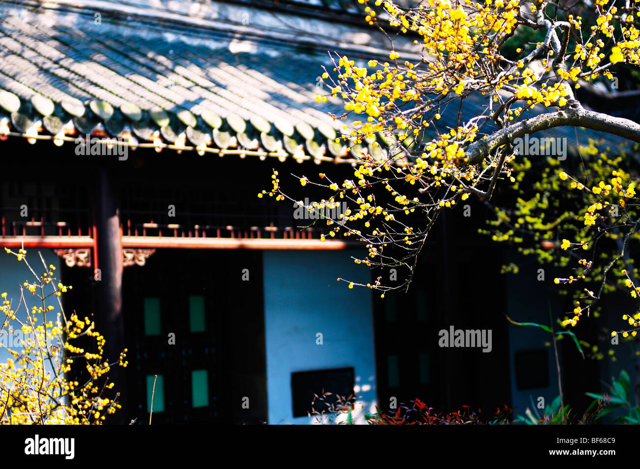 Ge yuan -Fotos und -Bildmaterial in hoher Auflösung – Alamy