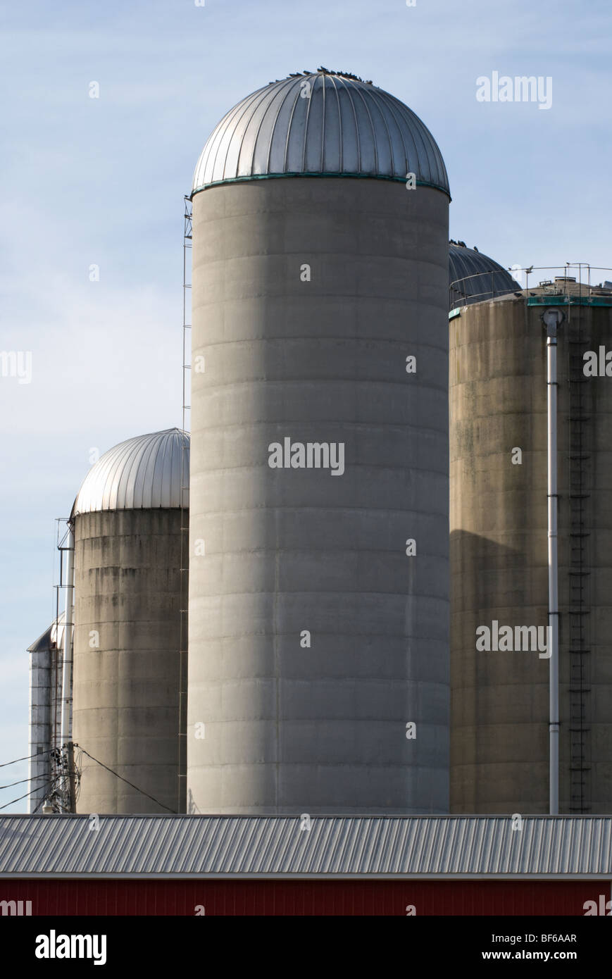 Stock Foto von hohen konkreten landwirtschaftlichen Silos im späten Nachmittag Licht gedreht. Stockfoto