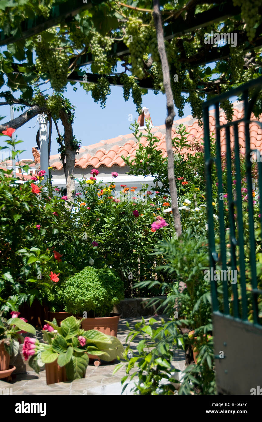 47+ Griechische Garten, Ein griechischer garten kann auch als