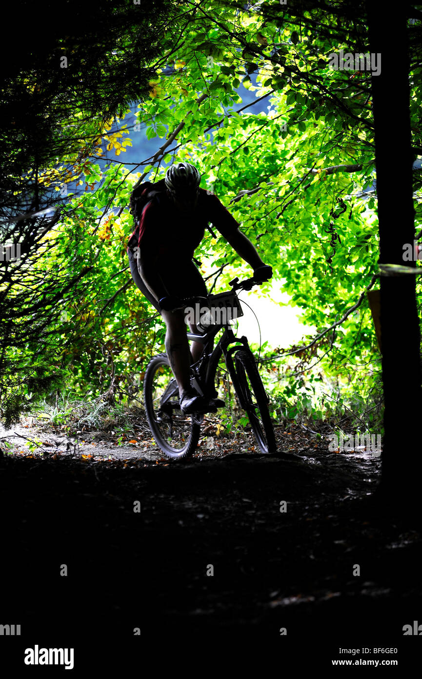 Mountain Bike Rider verschwommen Wald erschossen Stockfoto