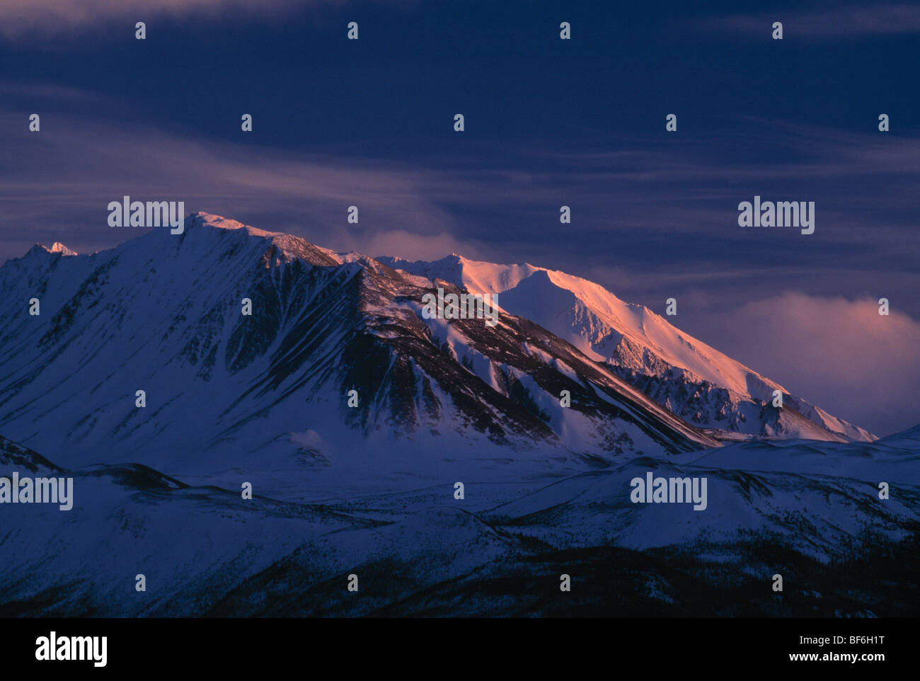 verschneite Landschaft, Kanada, Stockfoto