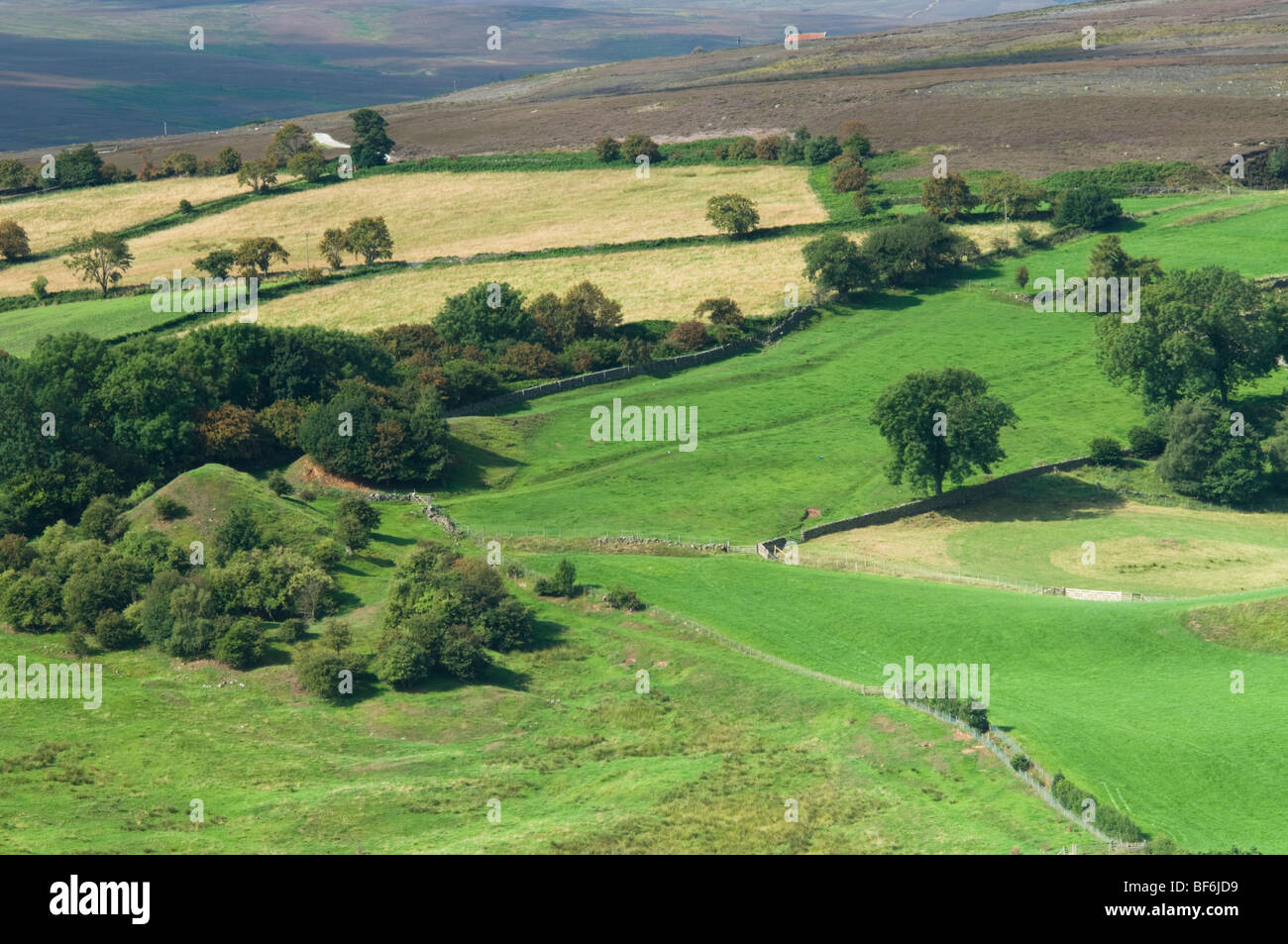 Unverbaute Aussicht auf gemeinsame Dale, North York Moors, North Yorkshire, UK Stockfoto